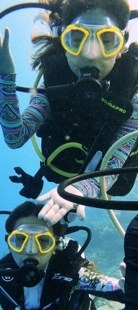 Beginner Diving Courses