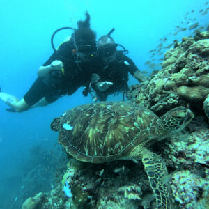 Turtle and two persons