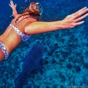 A women dives looking at the Tiger shark