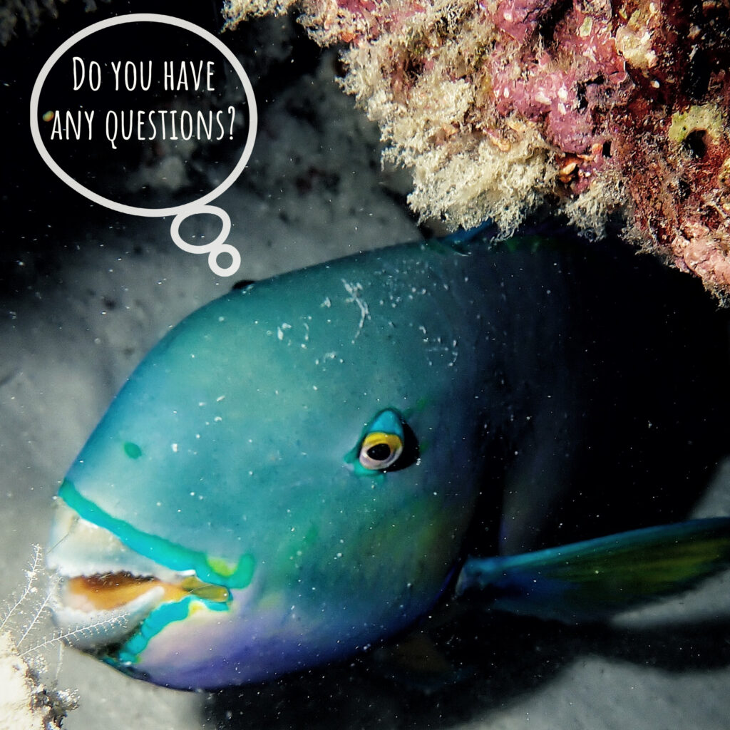 Do you have any questions with a fish